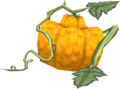 An Ordon Pumpkin still attached to the Vine from Twilight Princess