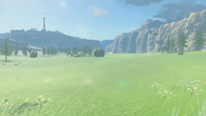 TotK Rowan Plain.png