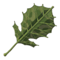 Unused icon for a Korok Leaf from Hyrule Warriors: Age of Calamity