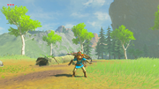 Bokoblin Mask - Zelda Wiki