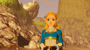 HWAoC Zelda's Wishes.png