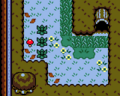 The Sleepy Toadstool in the Mysterious Woods from Link's Awakening DX