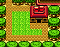 Blaino's Gym from Oracle of Seasons