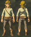 Link wearing the Well-Worn Outfit from Breath of the Wild