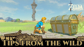 BotW Tips from the Wild Banner 16.png