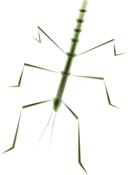File:TP Male Phasmid Render.png