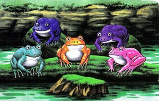 Frog group.png