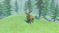 The Mountain Buck in the Hyrule Compendium from Tears of the Kingdom