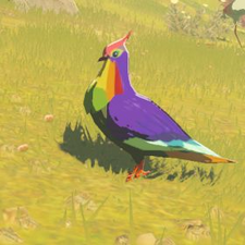 Rainbow Pigeon - Zelda Wiki