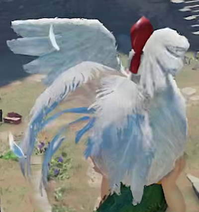 Carte Cucco