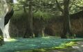 A portion of the Sacred Grove from Twilight Princess