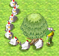 Cuccos following Link after the "Song of Birds" is played