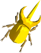 Energetic Rhino Beetle