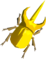 Energetic Rhino Beetle