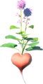 Big Hearty Radish