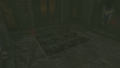 One of the entrances to the Royal Hidden Passage in Hyrule Castle