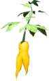 Endura Carrot