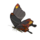 BotW Smotherwing Butterfly Icon.png