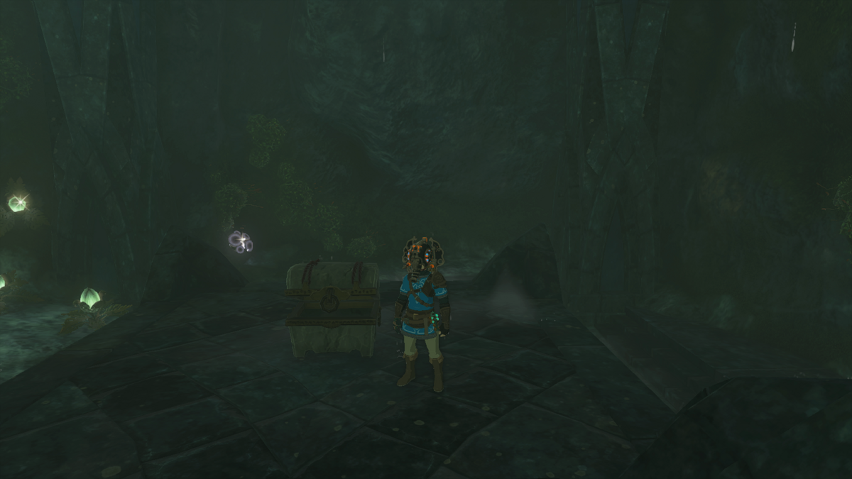 Secret Treasure under the Great Fish Zelda Wiki