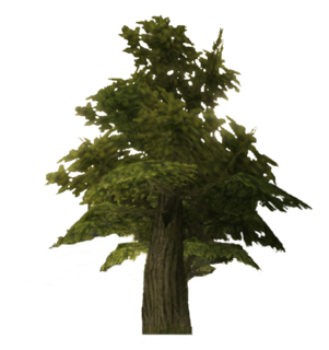 TP Tree Model.png