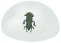 A Chu Worm in a Shell Jelly, as seen in Twilight Princess
