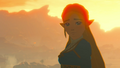 Zelda looking back at Link