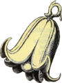 Artwork of the Sea Lily's Bell from the Link's Awakening guide
