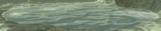 Cold Water model from Breath of the Wild