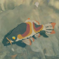 The Sanke Carp in the Hyrule Compendium from Breath of the Wild