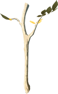 Tree Branch model from Tears of the Kingdom