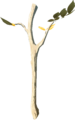 Tree Branch
