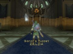 Possessed Zelda - Zelda Wiki