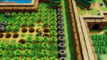 Pothole Field