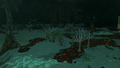 Applean Grove