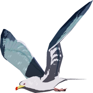 Seagull model from Tears of the Kingdom