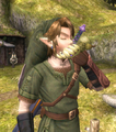 Link using a Hawk Grass