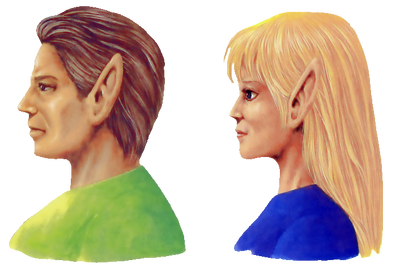Carte Hylian