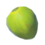 BotW Palm Fruit Icon.png