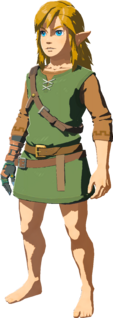 Tunic of the Wild model from Tears of the Kingdom