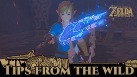 BotW Tips from the Wild Banner 19.png