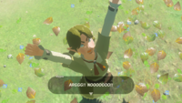 BotW Watch Out for the Flowers.png