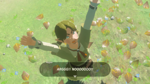 BotW Watch Out for the Flowers.png