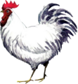 Cucco artwork from Ocarina of Time