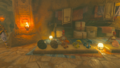 Ardin's Stall in the Gerudo Shelter from Tears of the Kingdom