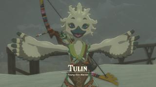 A screenshot of Tulin with his wings outstretched at Revali's Landing. Text on-screen displays his name, along with the title "Young Rito Warrior".