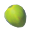 HWAoC Palm Fruit Icon.png