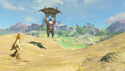 A screenshot of the Old Man using the Paraglider to glide toward Link.