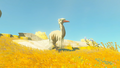 The Forest Ostrich in the Hyrule Compendium from Tears of the Kingdom