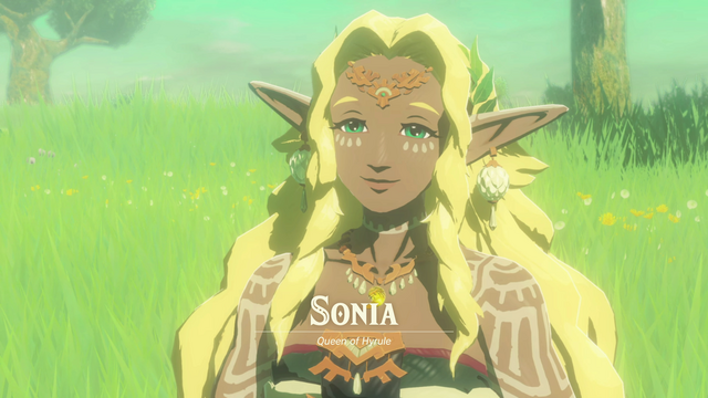 File:AoI Sonia Introduction.png - Zelda Wiki