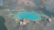 Rock-Roast Pond